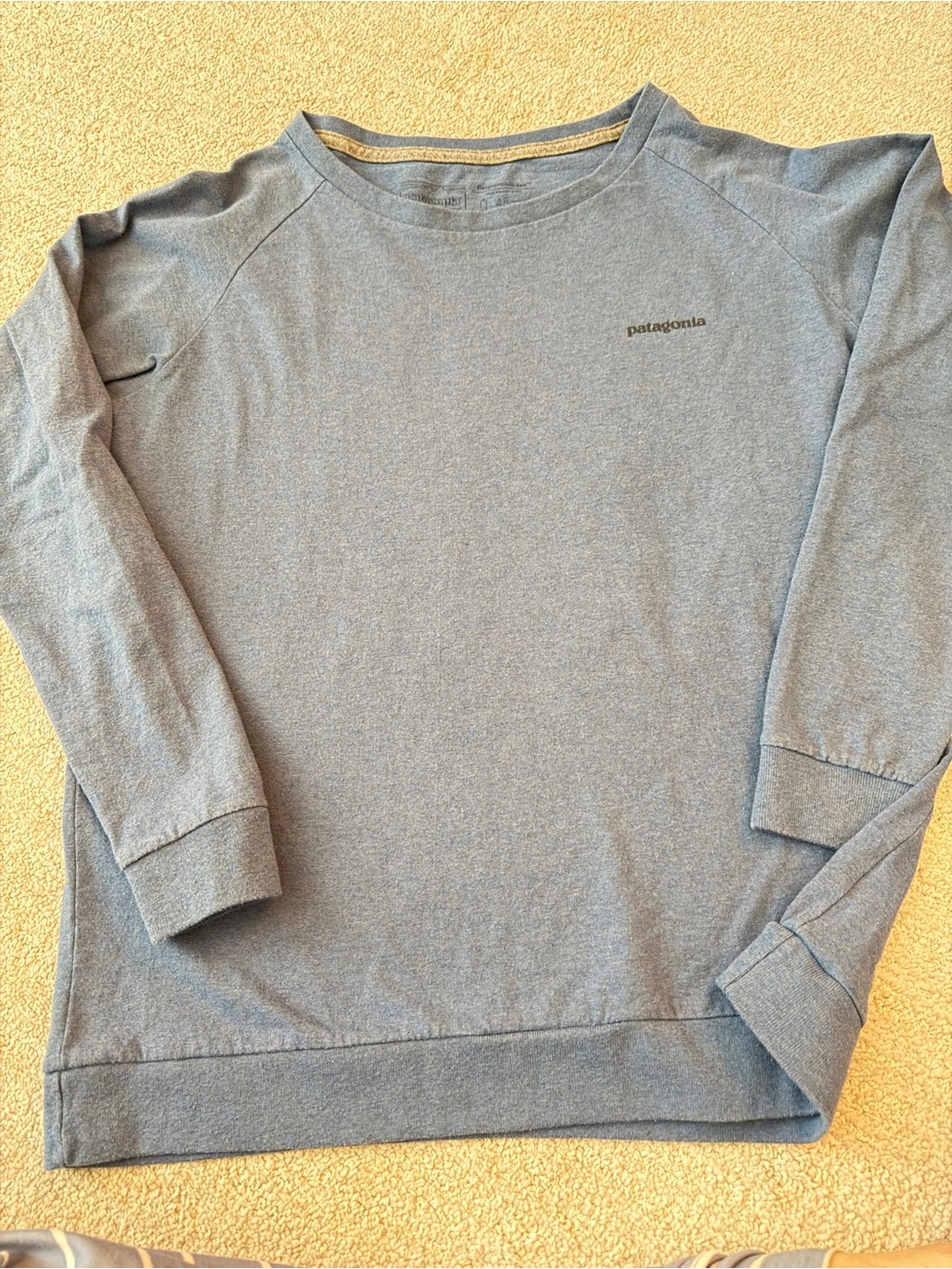 Patagonia Long Sleeve Crewneck Tee - Heather Blue